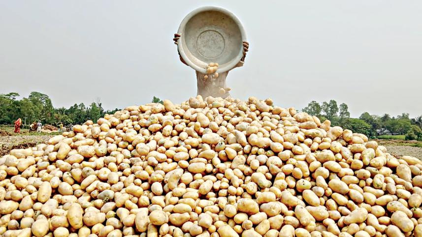 ভিয়েতনামে আলু রপ্তানির নতুন বাজার খুললো বাংলাদেশের