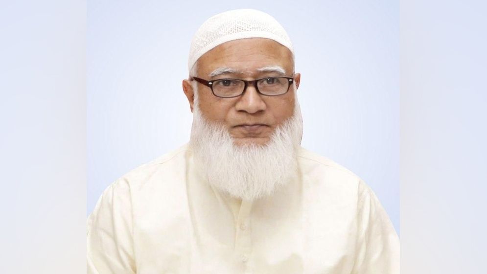 স্বাধীনতার অর্জন আছে, তবে প্রত্যাশা পূরণ হয়নি: শফিকুর রহমান