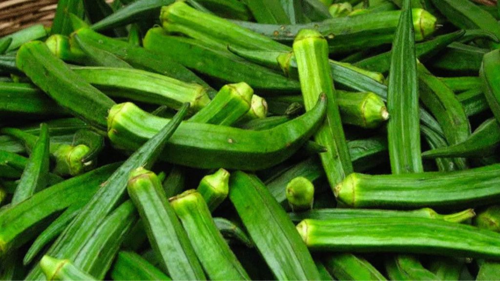 ঘরেই মিলবে গ্লোয়িং স্কিন, ব্যবহার করুন ঢেঁড়স