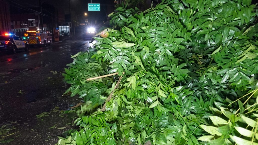 কালবৈশাখীর তাণ্ডব, চুয়াডাঙ্গায় ছাদ থেকে পড়ে বৃদ্ধের মৃত্যু