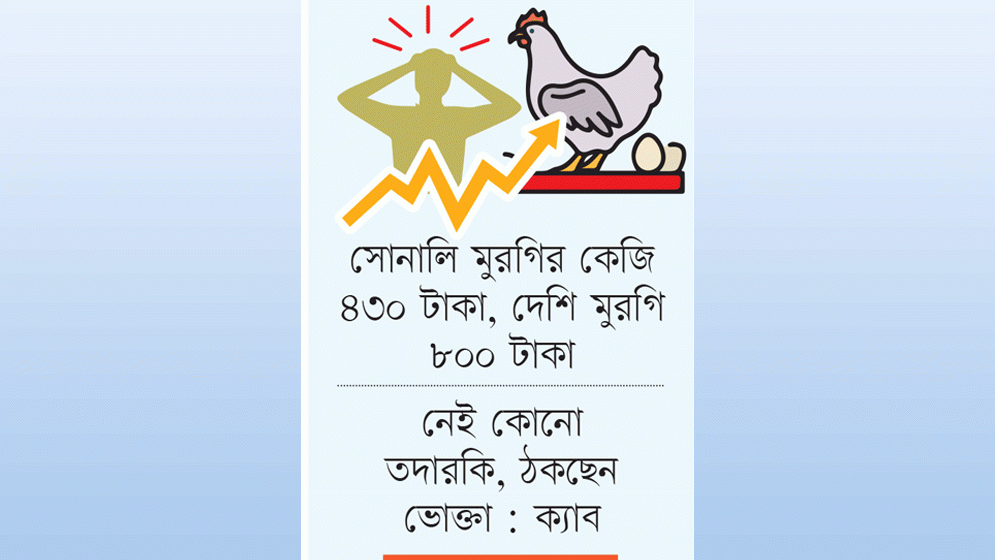 খামারিতে ১৪৫, বাজারে ২২০, মুরগির দামে অস্বাভাবিক ফারাক