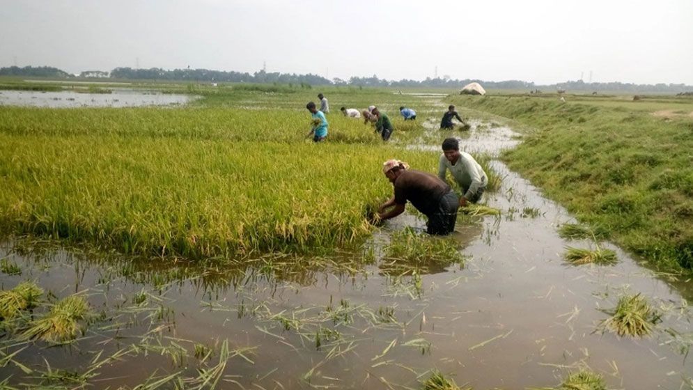 সুনামগঞ্জে বজ্রপাতে শিক্ষার্থীসহ ৪ জনের মৃত্যু, আহত ৩