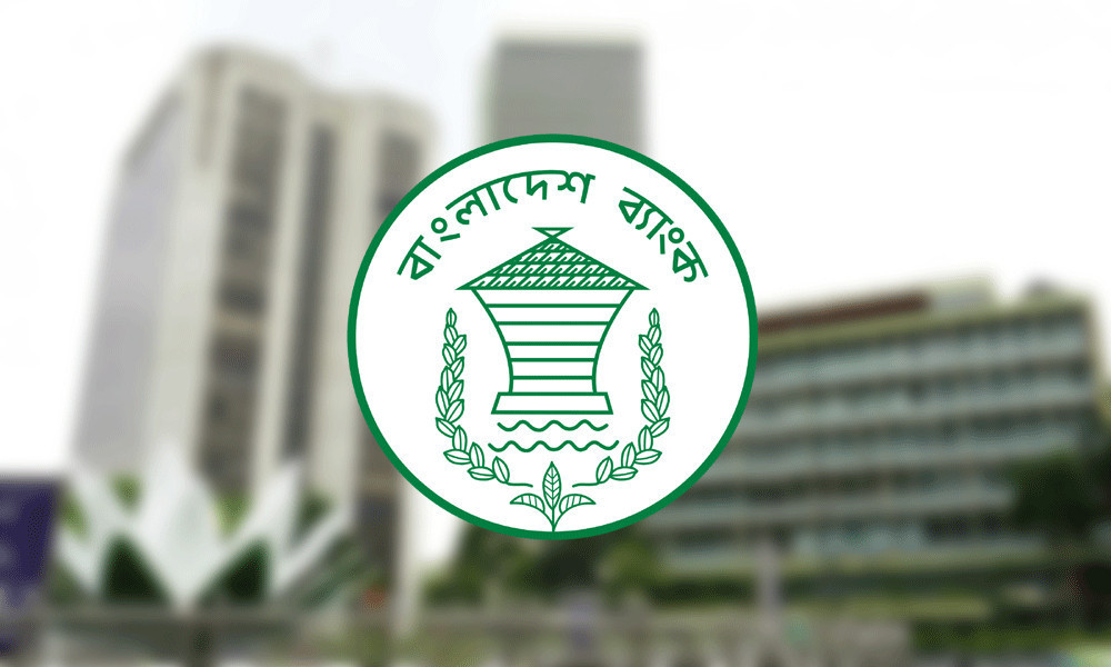 ২ শতাংশ ডাউন পেমেন্টে মিলবে ঋণ নিয়মিত করার সুবিধা