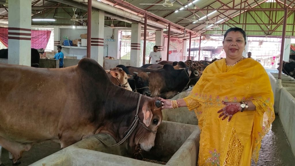 একটি গরু থেকে ৬৪ গরুর খামার, সফল নারী উদ্যোক্তা ফারিয়া