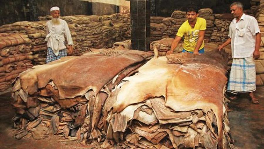 কুরবানির চামড়া নষ্ট ঠেকাতে কঠোর নজরদারিতে যাচ্ছে সরকার