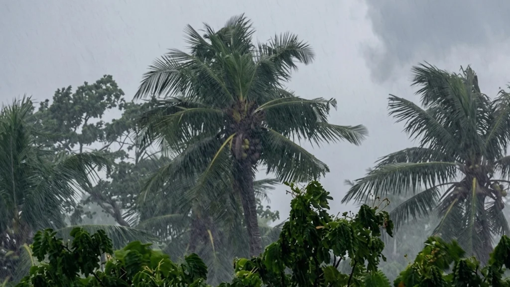 সাত জেলায় ঝড়ের আভাস, দুই বিভাগে ভারী বৃষ্টির সতর্কতা