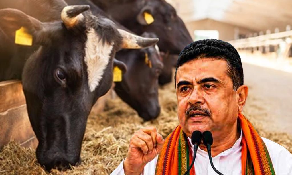 পশ্চিমবঙ্গে গরু জবাইয়ে নতুন কড়া নিয়ম, অনুমতি ছাড়া নিষিদ্ধ