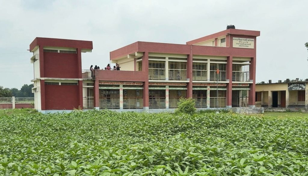 চাকরি না পেয়ে স্কুল মাঠে পাটচাষের অভিযোগ রাজবাড়ীতে