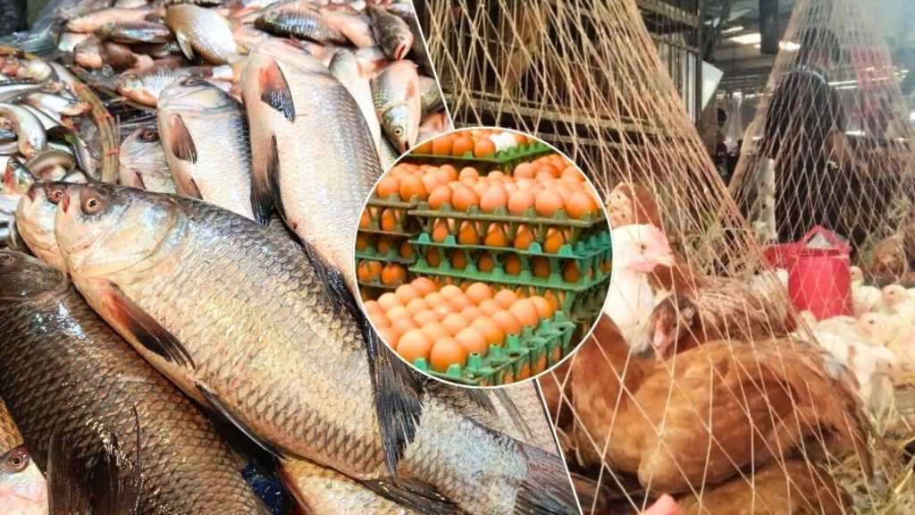 মাংস-ডিম-মাছের দামে চাপে রাজধানীর ক্রেতারা