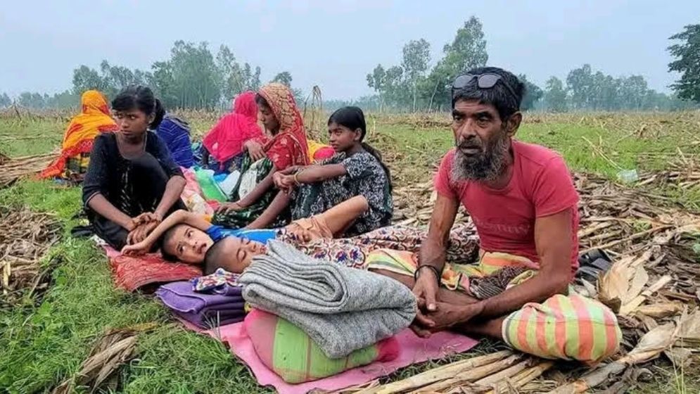 ৪৮ ঘণ্টা জিরো লাইনে থাকার পর ১১ জনকে ফিরিয়ে নিল বিএসএফ