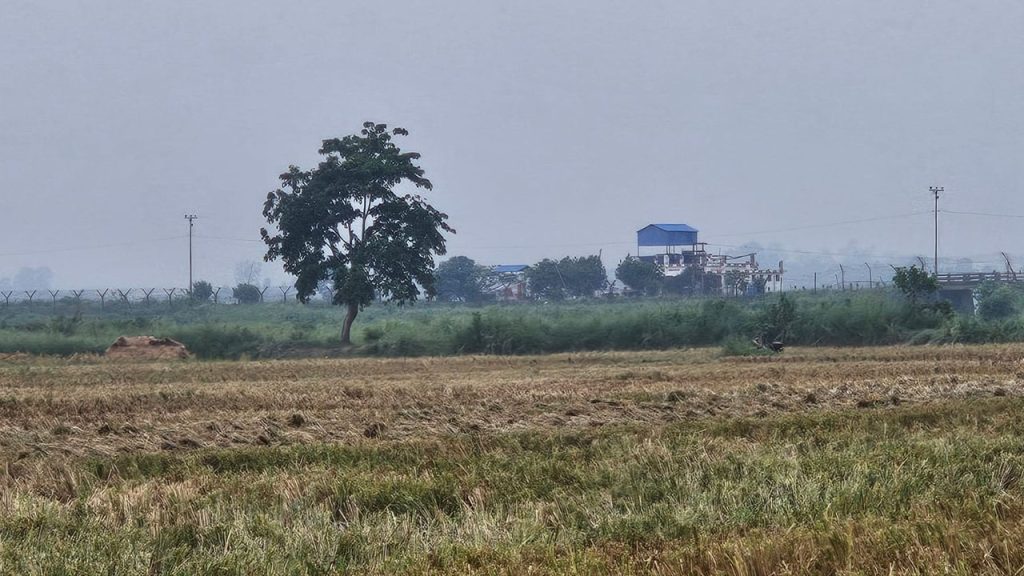 বিজিবির কড়া অবস্থানে পুশ ইন ব্যর্থ, ১৯ ঘণ্টা পর ১৭ জনকে ফিরিয়ে নিল বিএসএফ