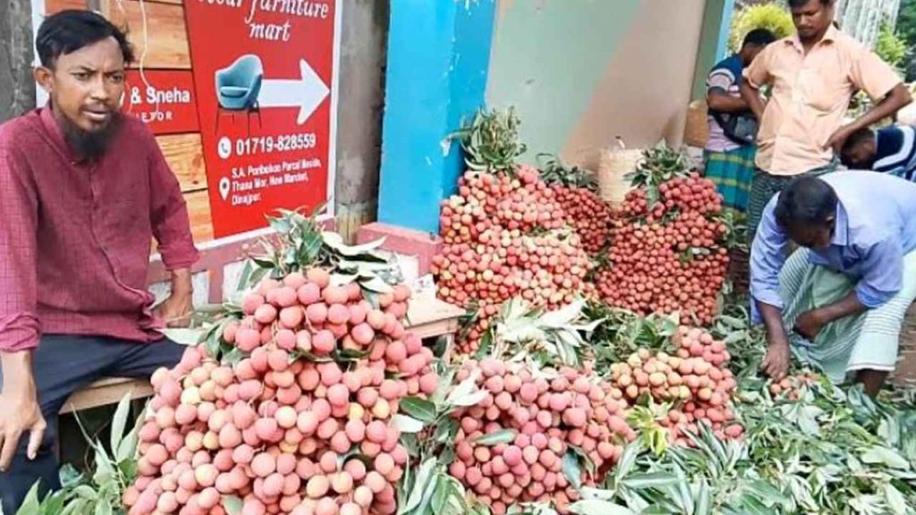 দিনাজপুরের লিচু বাজারে ক্রেতাদের ভিড়, হাজার কোটি টাকার বাণিজ্যের আশা