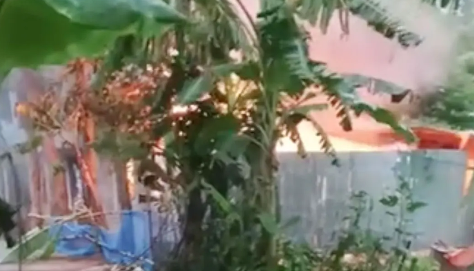 পাবনায় কিশোরী হত্যা মামলার জেরে আগুন, দগ্ধ হয়ে প্রাণ গেল ৩ জনের