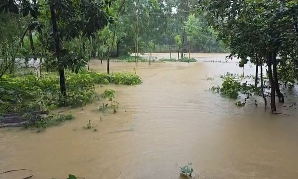 মুহুরীর পানি বৃদ্ধি, নতুন এলাকা প্লাবিত হওয়ার শঙ্কা