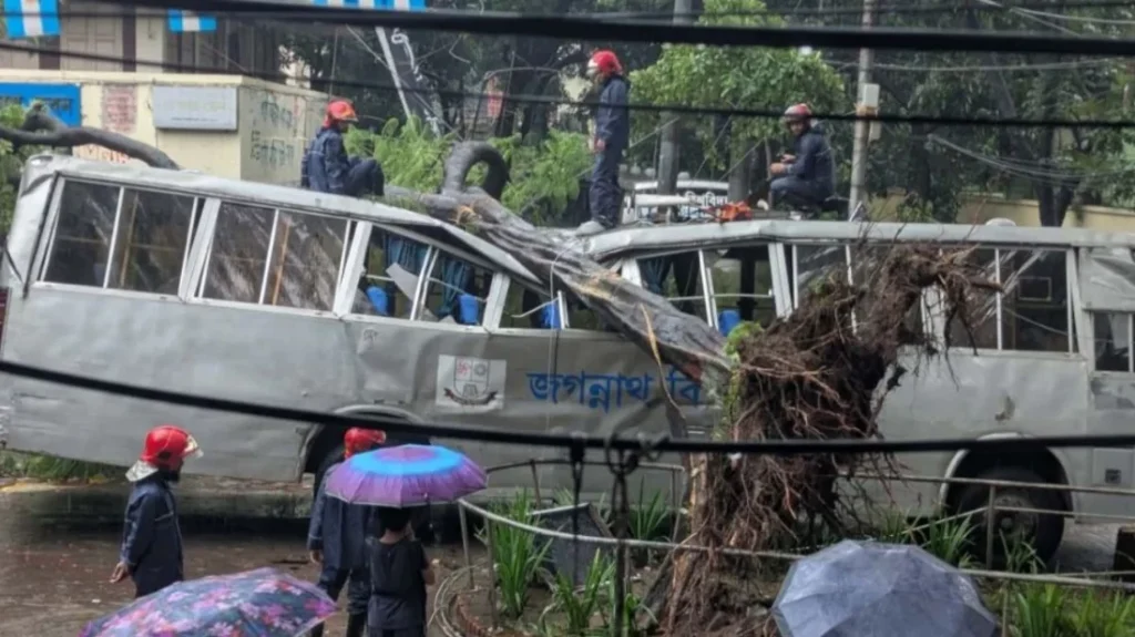 টানা বৃষ্টিতে জবির বাস দুমড়ে-মুচড়ে গেল, গাছ উপড়ে বড় ক্ষতি