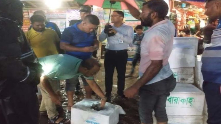 সাতক্ষীরায় ২৬০ কেজি জেলি পুশ করা চিংড়ি জব্দ