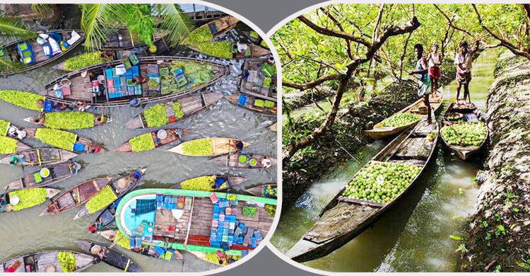 আটঘর-কুড়িয়ানা পেয়ারা বাগান ভ্রমণে ৮ নির্দেশনা