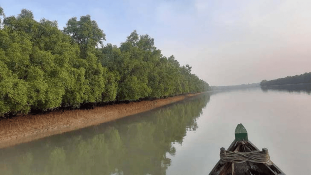 তিন মাস পর ১ সেপ্টেম্বর খুলছে সুন্দরবন ফিরছে কর্মচাঞ্চল্য